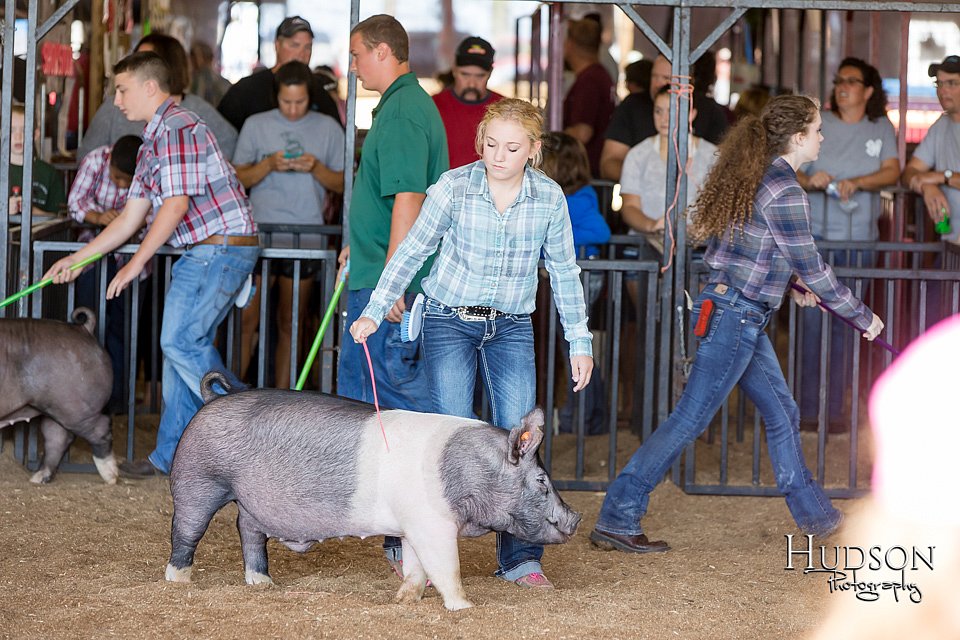 LCFAIR17-3956.jpg