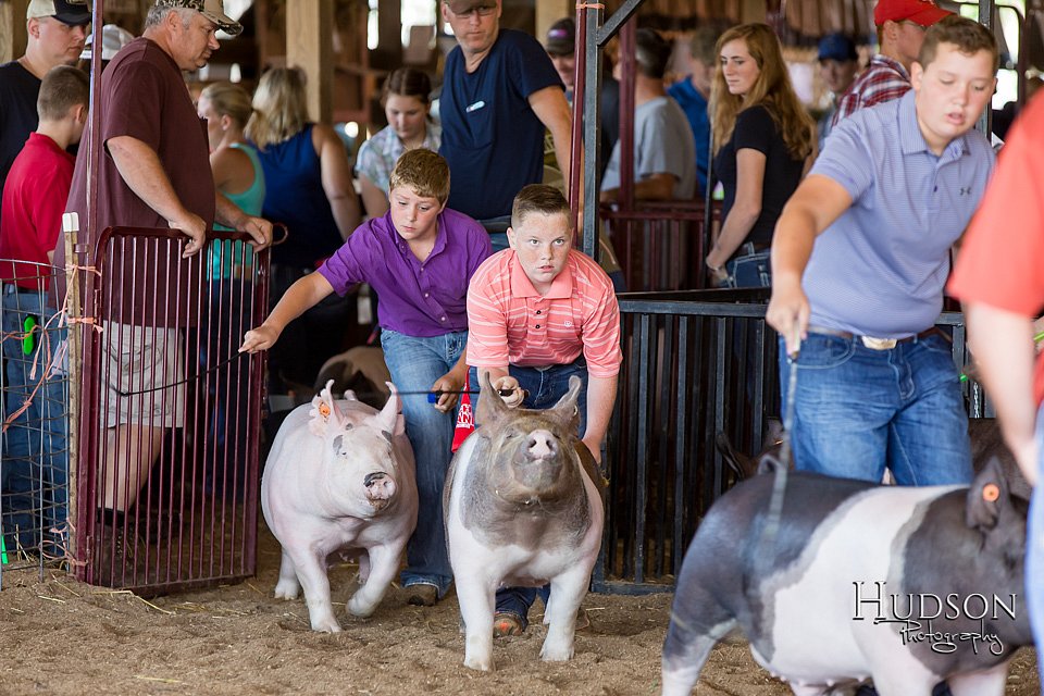 LCFAIR17-3959.jpg