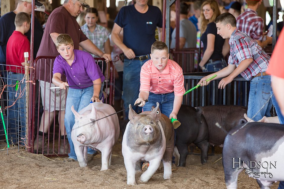 LCFAIR17-3960.jpg