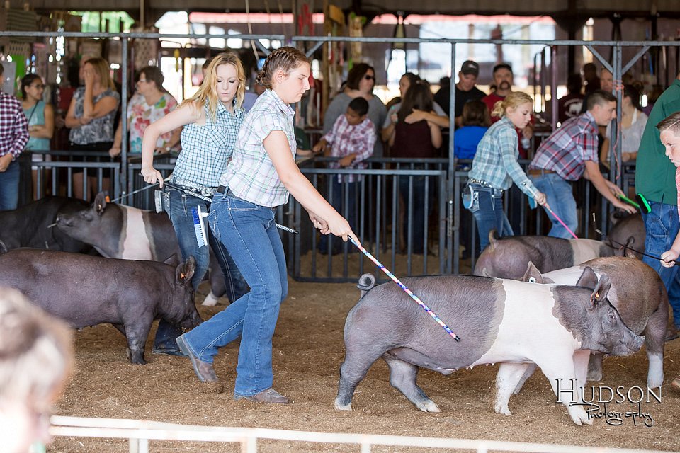 LCFAIR17-3963.jpg