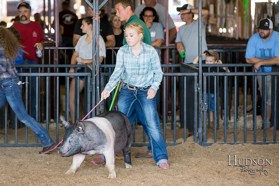 LCFAIR17-3966.jpg
