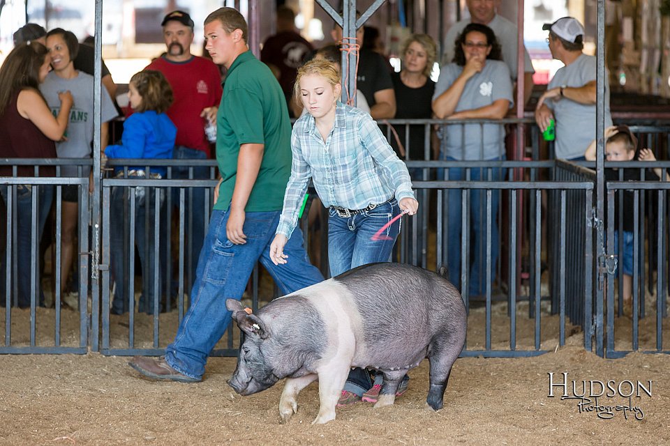 LCFAIR17-3967.jpg