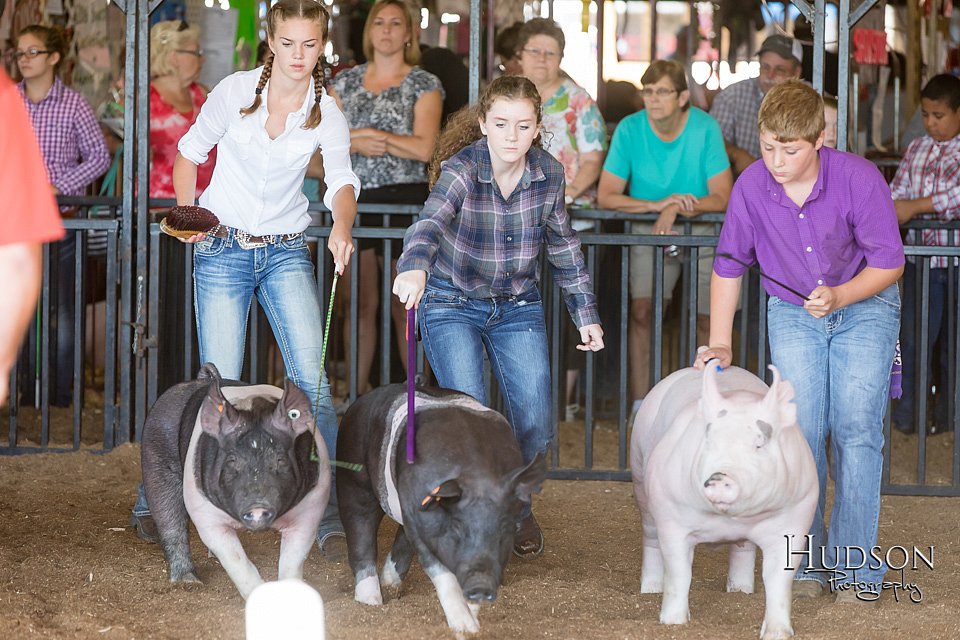 LCFAIR17-3971.jpg