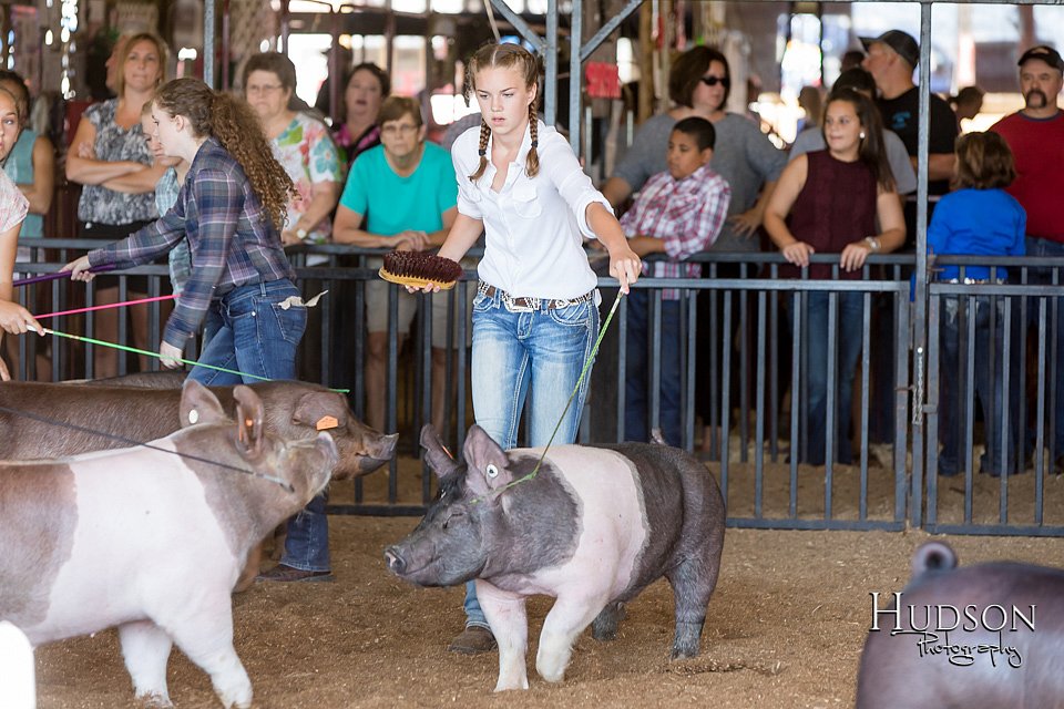 LCFAIR17-3972.jpg