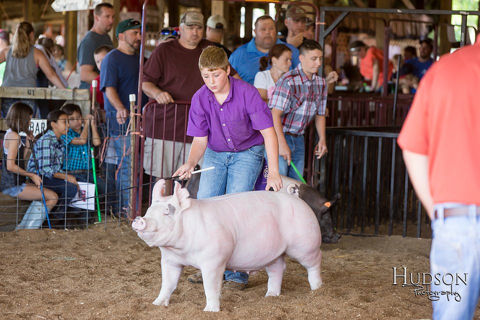 LCFAIR17-3973.jpg