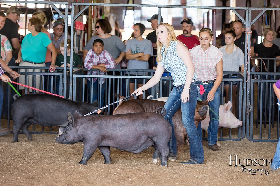 LCFAIR17-3980.jpg