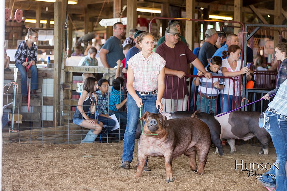 LCFAIR17-3983.jpg
