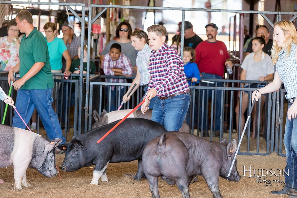 LCFAIR17-3985.jpg