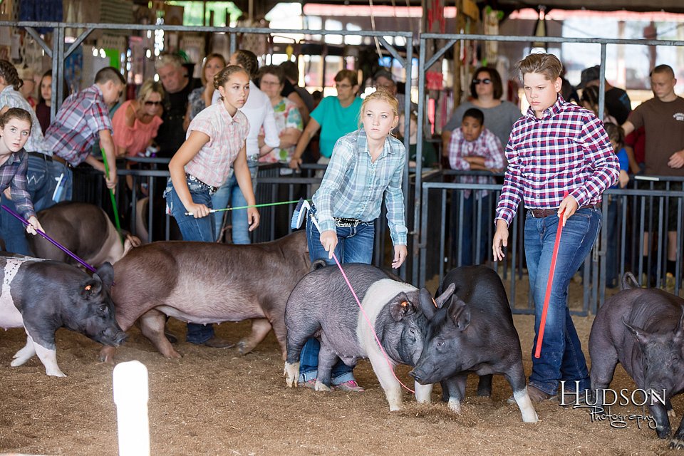 LCFAIR17-3987.jpg