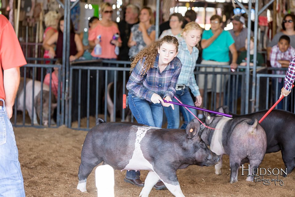 LCFAIR17-3988.jpg