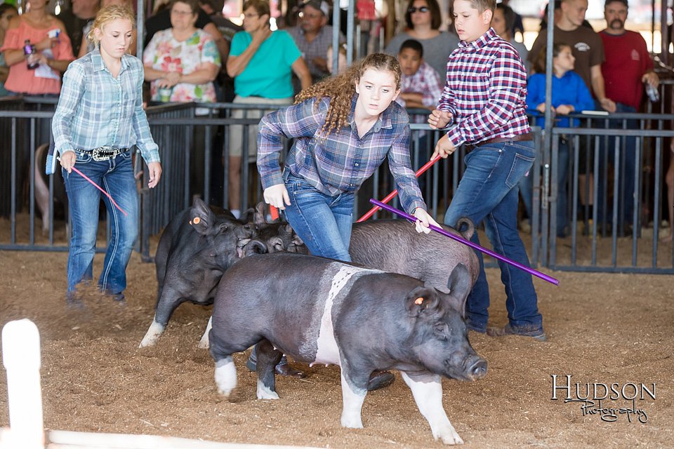 LCFAIR17-3989.jpg