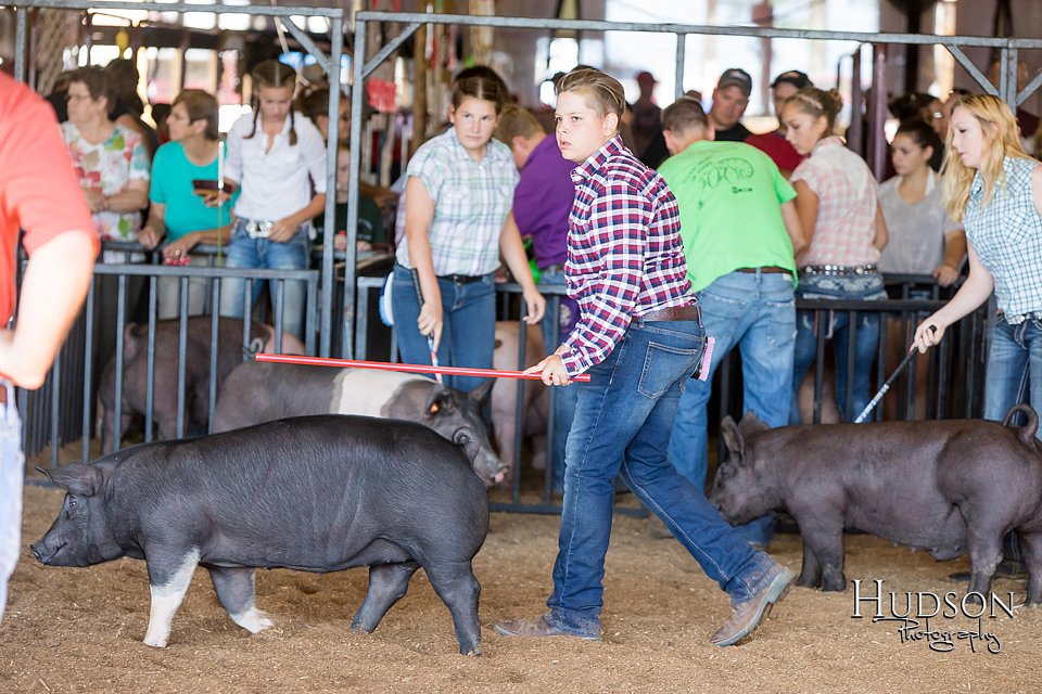 LCFAIR17-3994.jpg