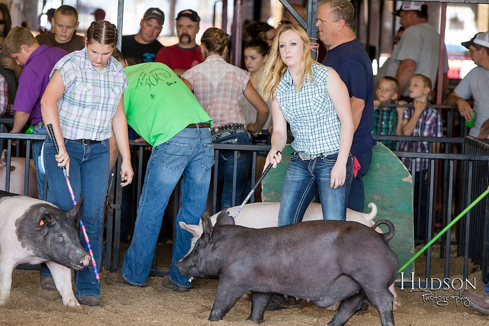 LCFAIR17-3995.jpg