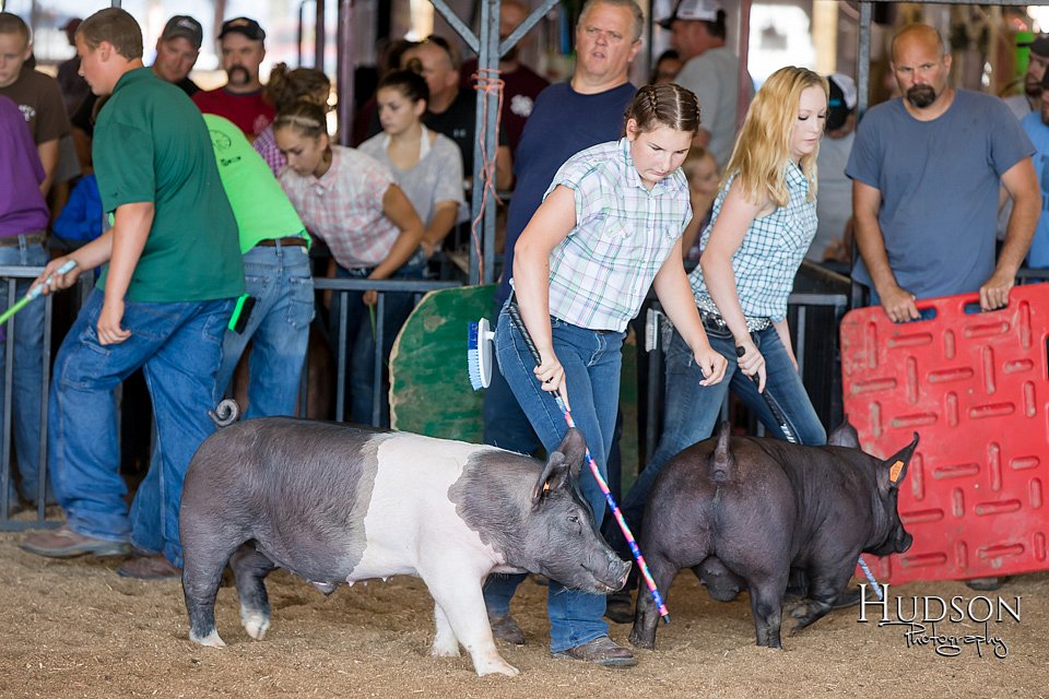 LCFAIR17-3997.jpg