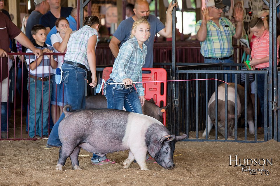 LCFAIR17-4002.jpg