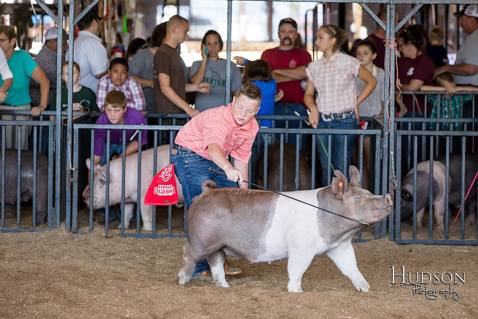 LCFAIR17-4004.jpg