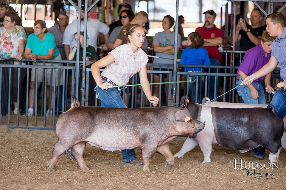 LCFAIR17-4026.jpg