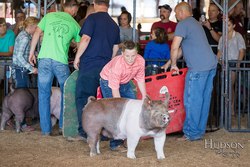 LCFAIR17-4027.jpg