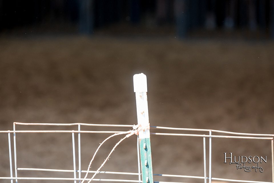 LCFAIR17-4036.jpg