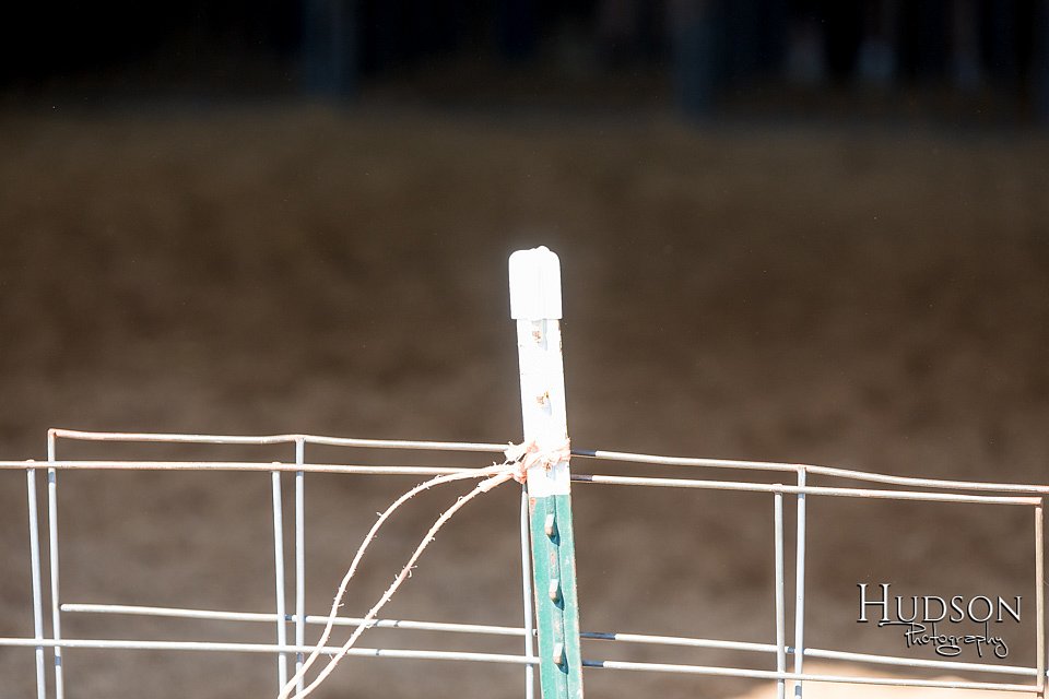 LCFAIR17-4038.jpg