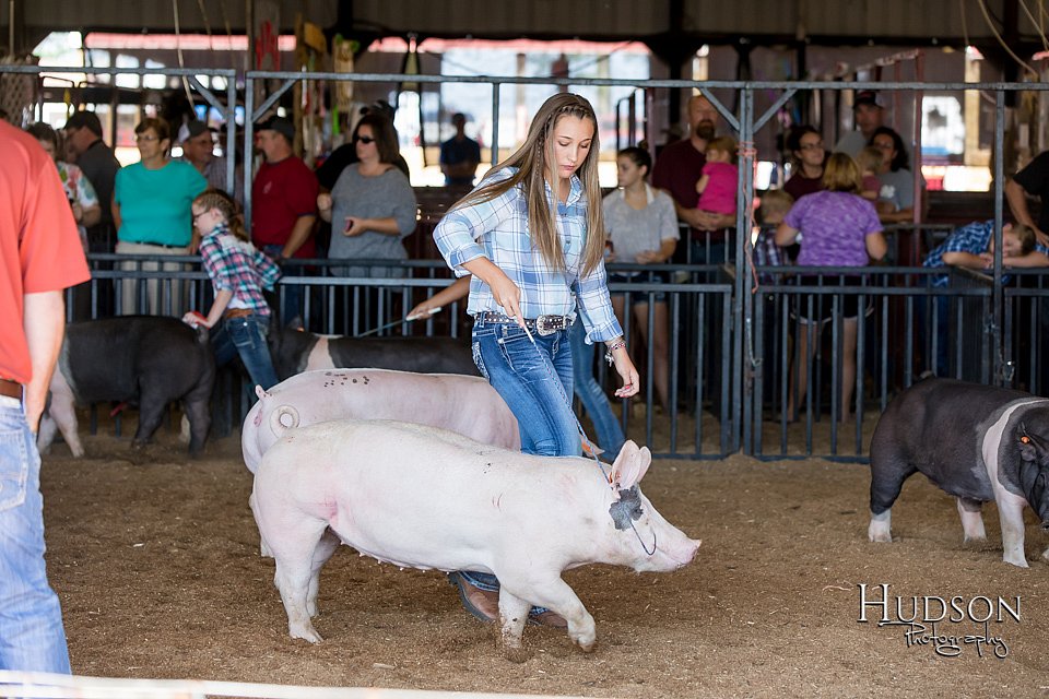 LCFAIR17-4050.jpg