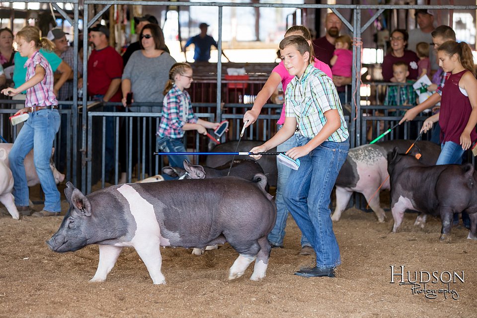 LCFAIR17-4054.jpg