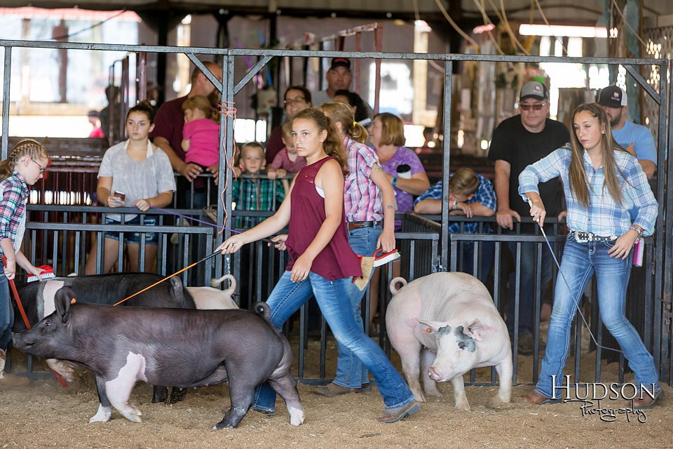 LCFAIR17-4059.jpg