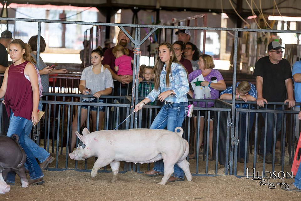 LCFAIR17-4060.jpg