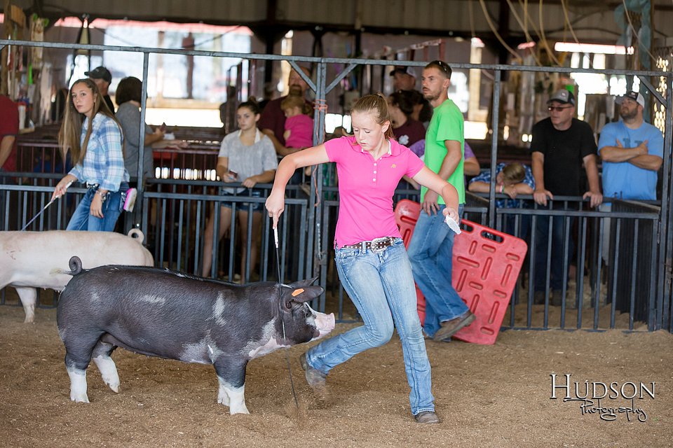 LCFAIR17-4062.jpg