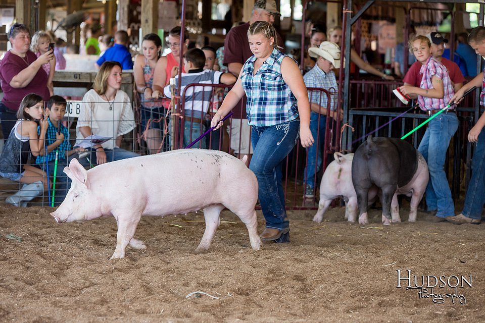 LCFAIR17-4079.jpg