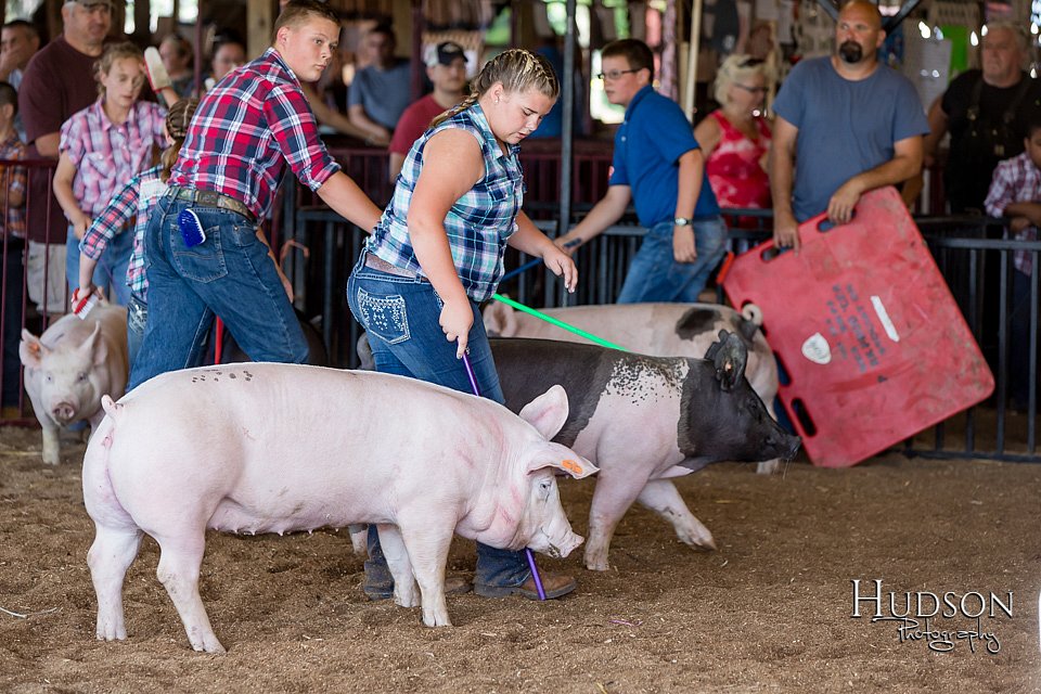 LCFAIR17-4081.jpg