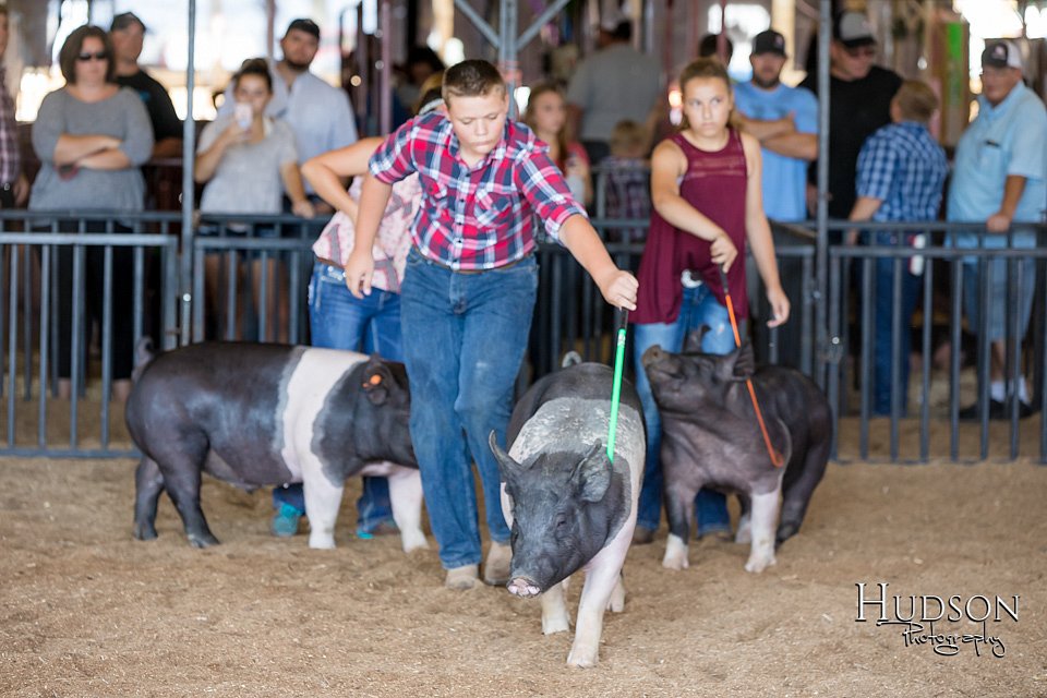 LCFAIR17-4087.jpg