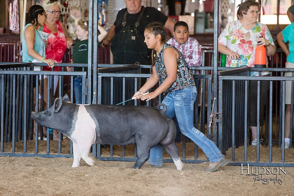 LCFAIR17-4089.jpg
