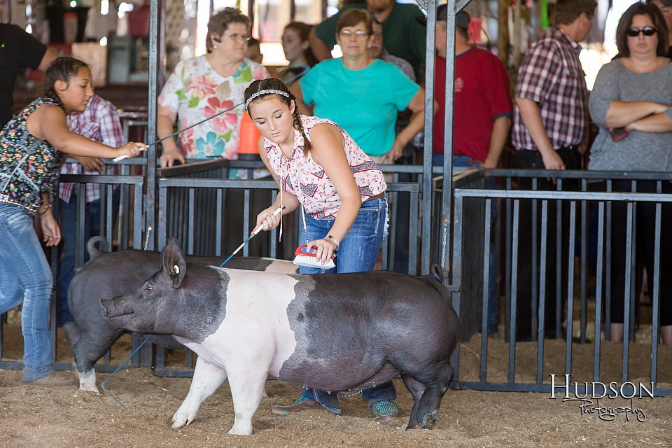 LCFAIR17-4091.jpg