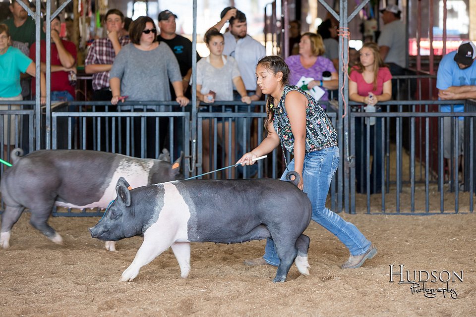 LCFAIR17-4099.jpg