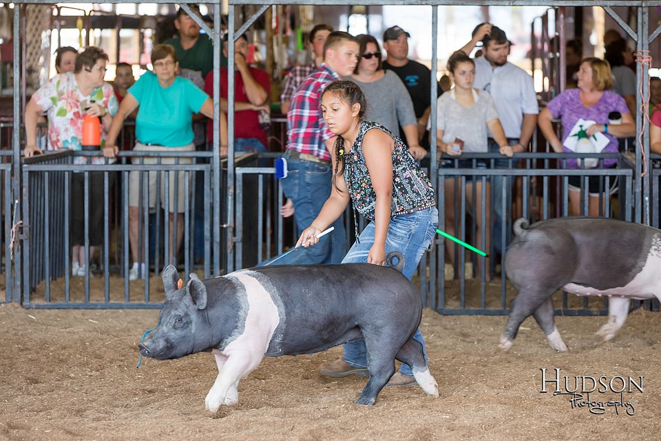 LCFAIR17-4100.jpg