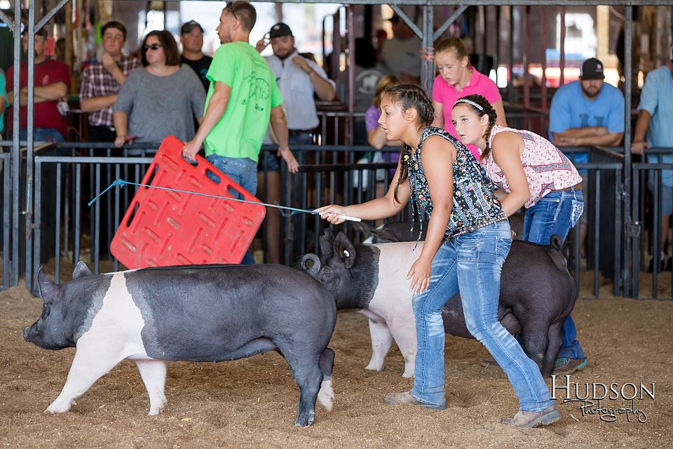 LCFAIR17-4107.jpg