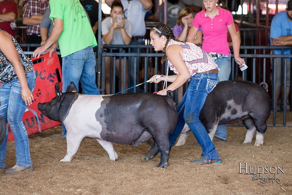 LCFAIR17-4109.jpg