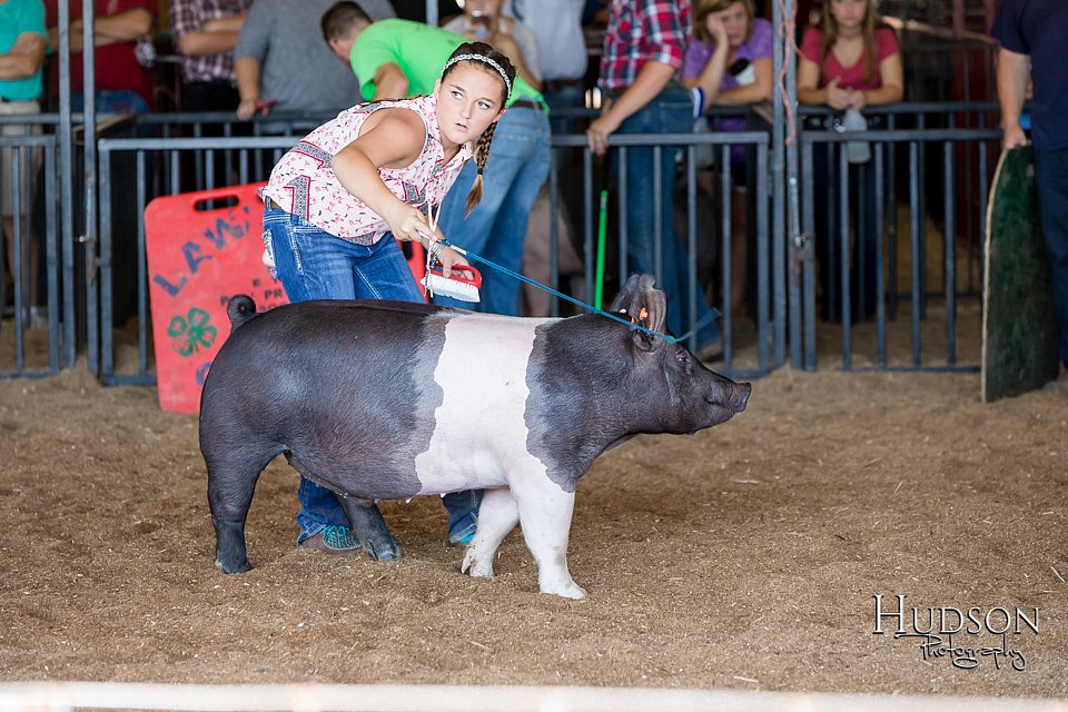 LCFAIR17-4113.jpg