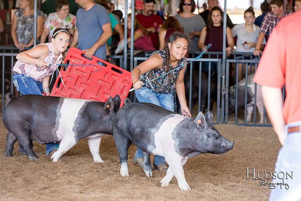 LCFAIR17-4117.jpg