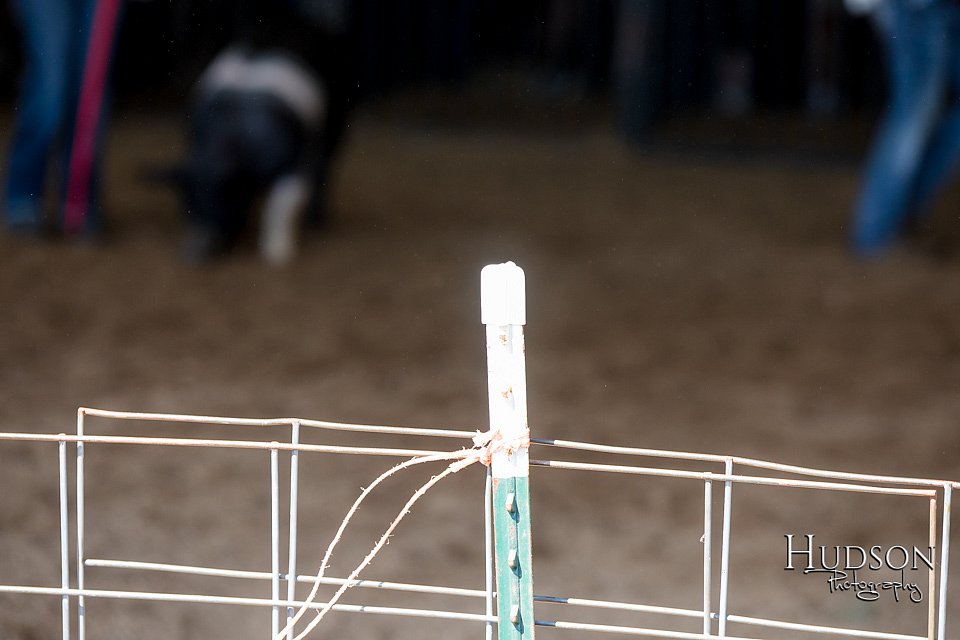 LCFAIR17-4126.jpg