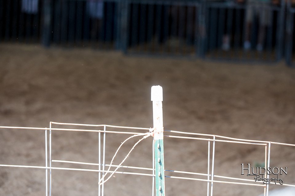LCFAIR17-4185.jpg