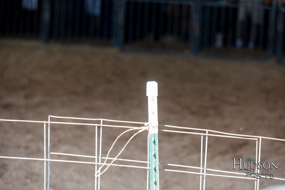LCFAIR17-4186.jpg