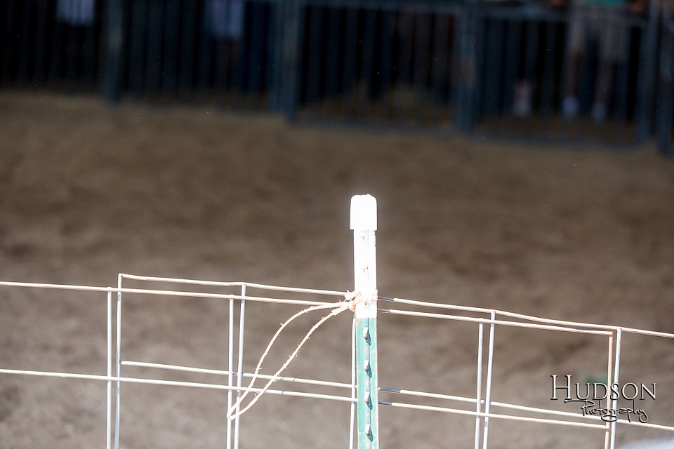 LCFAIR17-4187.jpg