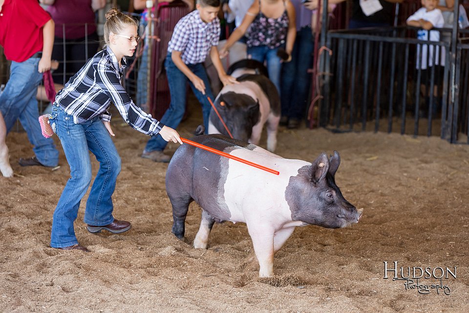 LCFAIR17-4201.jpg