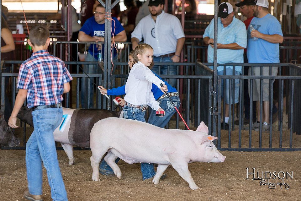 LCFAIR17-4206.jpg