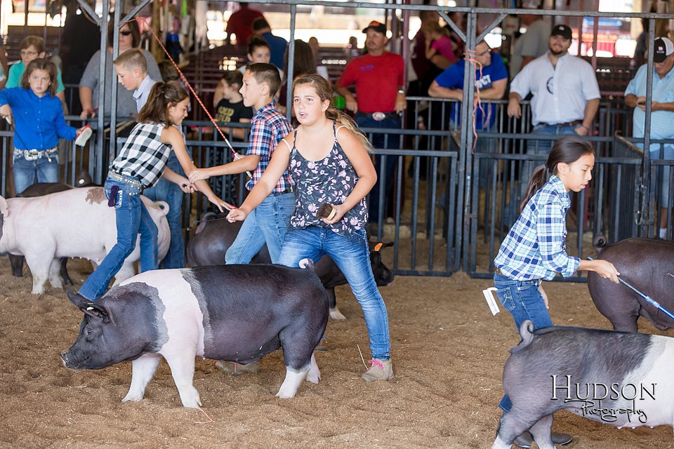LCFAIR17-4211.jpg