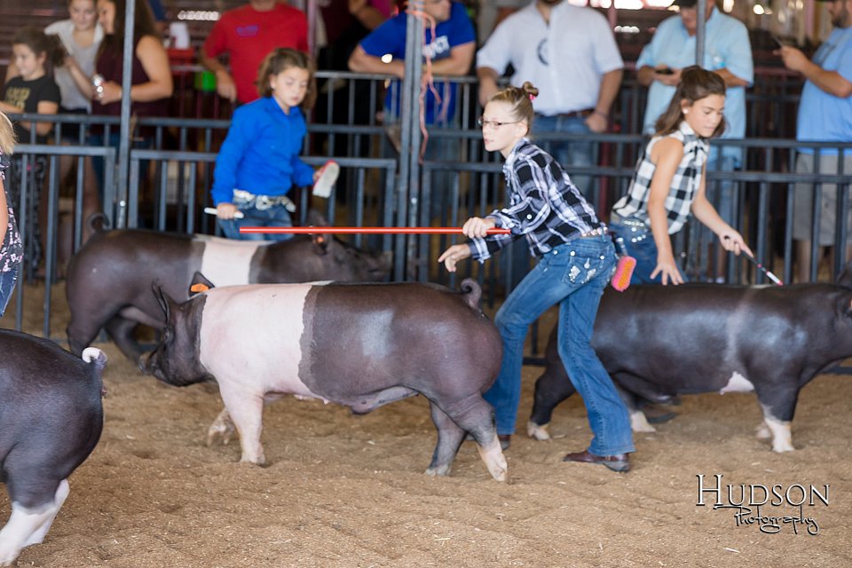 LCFAIR17-4212.jpg