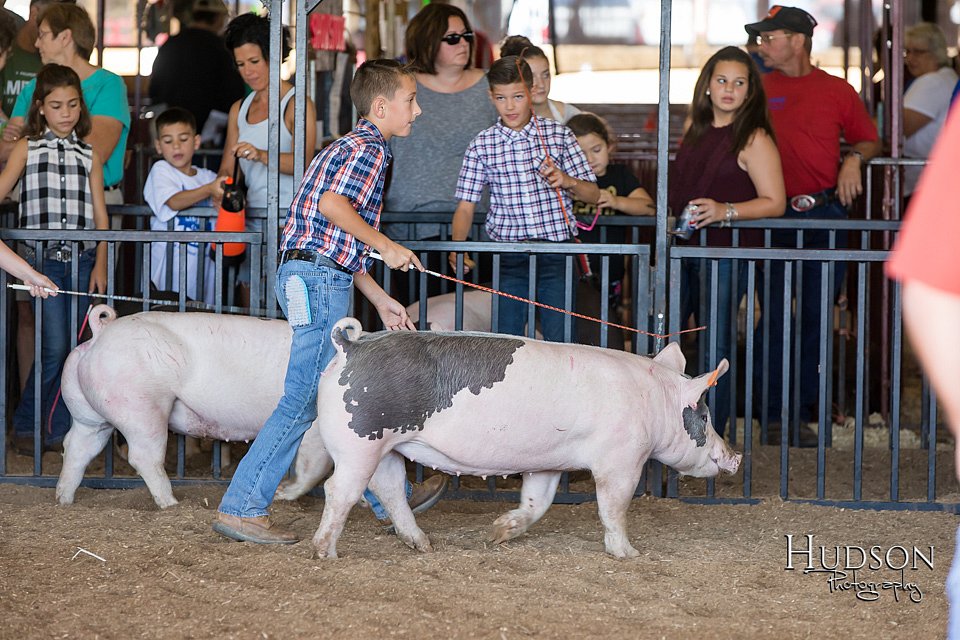 LCFAIR17-4219.jpg