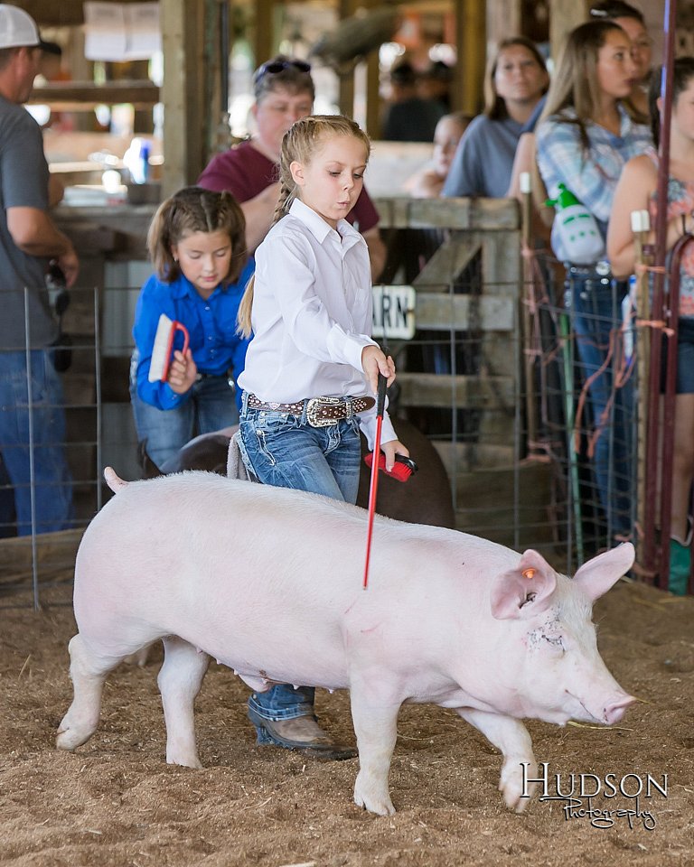 LCFAIR17-4223.jpg